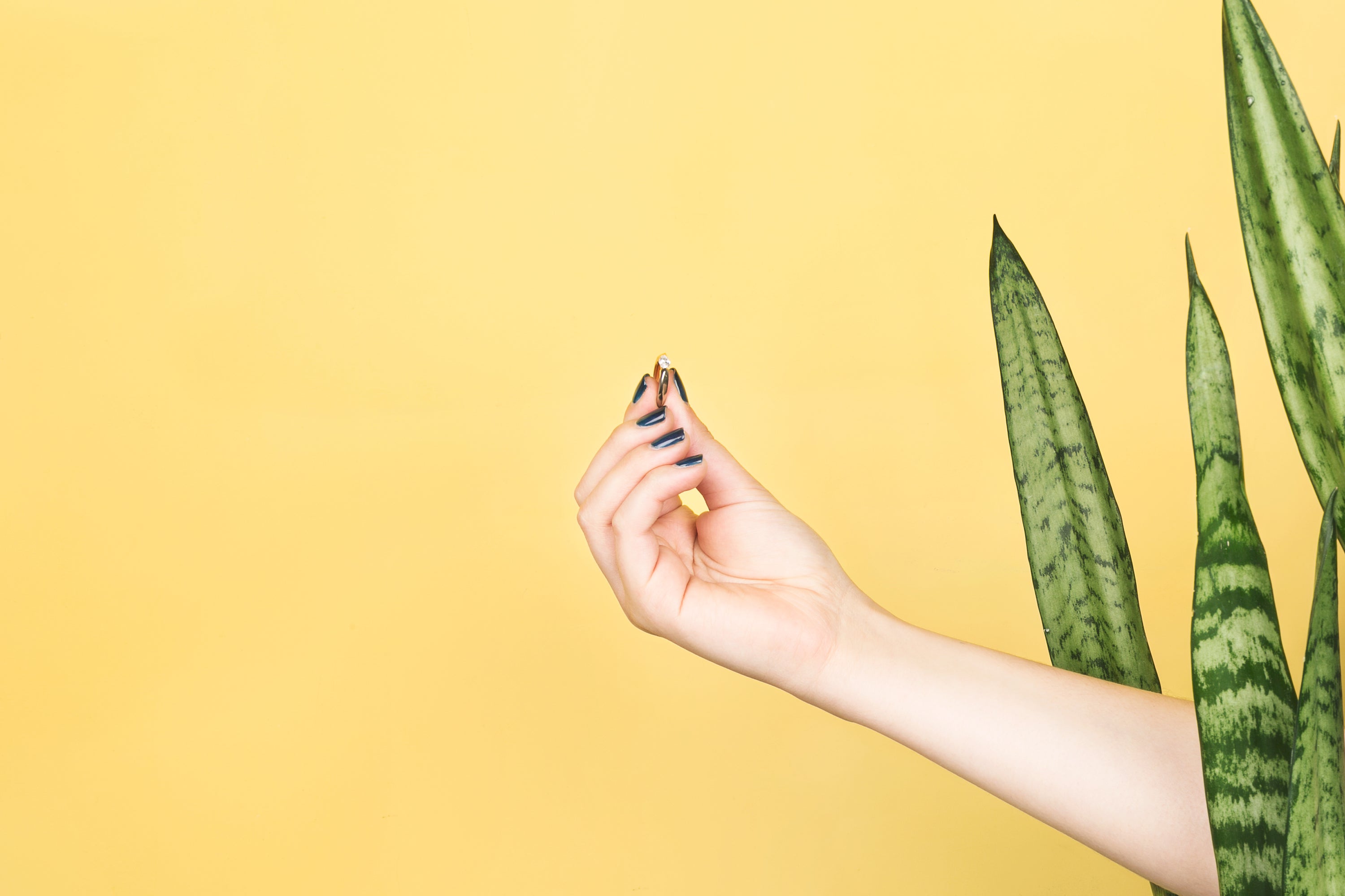 hand-with-ring-in-greenery